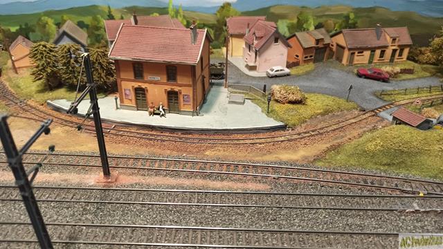 IMG_20250222_101454 (Copy) (Copy).jpg