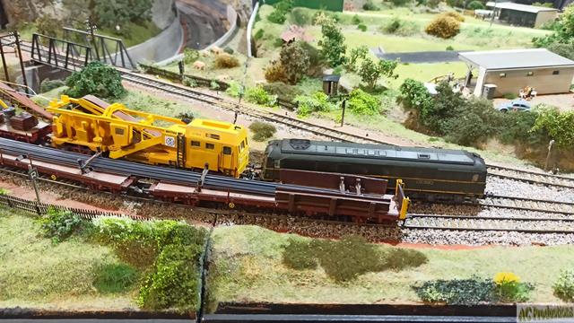 IMG_20250222_103051 (Copy) (Copy).jpg