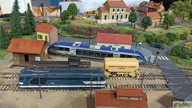 IMG_20250222_105638 (Copy) (Copy).jpg