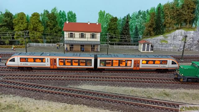 IMG_20250222_113516 (Copy) (Copy).jpg