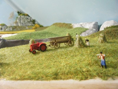 decord reseau 4 027.JPG