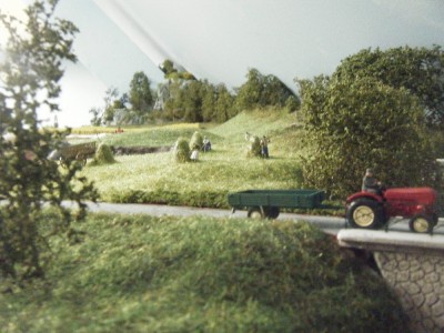 decor du 29 09 09 010.JPG